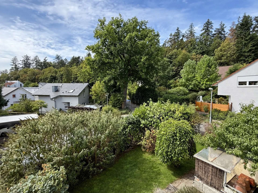 AUSBLICK IN DIE NATUR