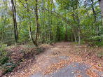 50 METER VOM WALD ENTFERNT