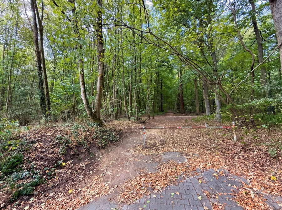 50 METER VOM WALD ENTFERNT