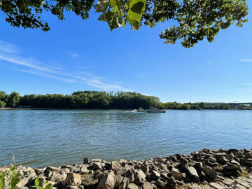 Wunderschöne lichtdurchflutete top renovierte 3-Zi-Whg mit Terrasse, neuem Bad, EBK und Stellplatz, 65203 Wiesbaden, Etagenwohnung