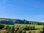 Ausblick Vom Dachstudio - NEUER PREIS! Familiendomizil u. Baugrundstück auf parkähnlichen Südwest-Anwesen mit Fernblick