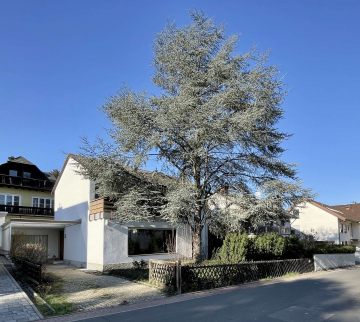 Wohnen im begehrten Musikerviertel! Schönes freistehendes Einfamilienhaus in toller ruhiger Lage, 65812 Bad Soden, Einfamilienhaus