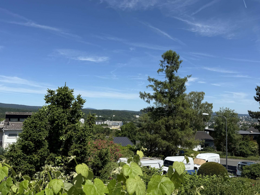 UND BLICK ÜBER WIESBADEN