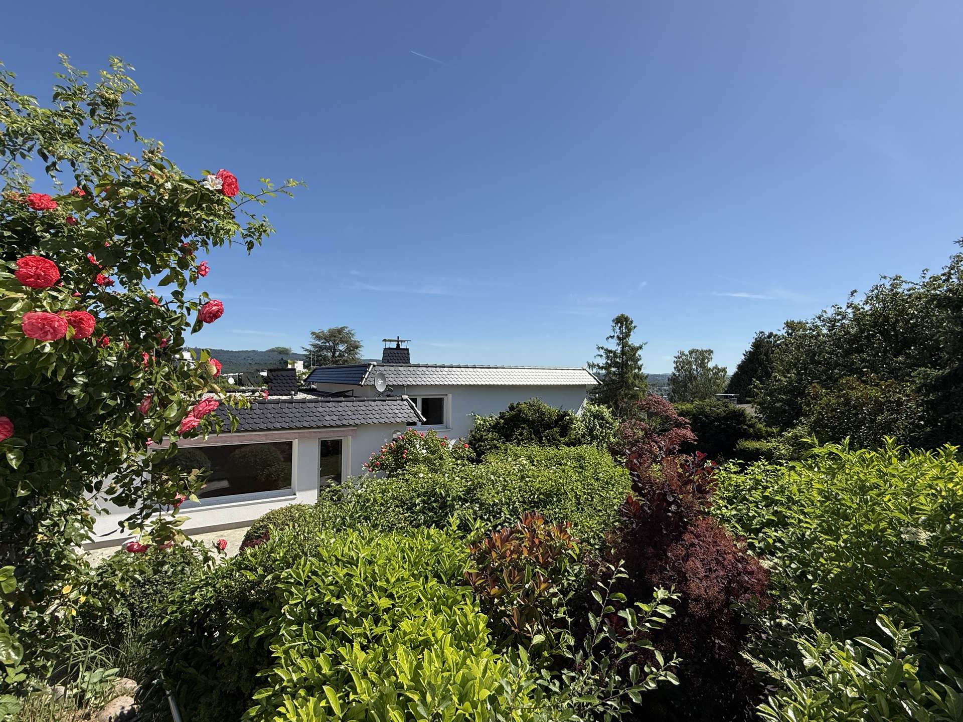 EIN TRAUMHAUS FÜR GARTEN- UND HUNDELIEBHABER IN TOPLAGE VON WI-KOHLHECK