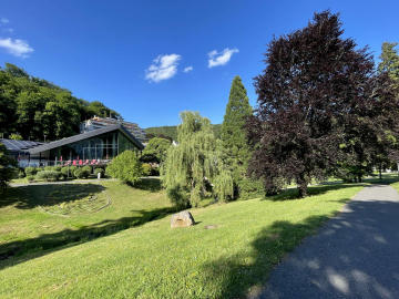 WOHNEN AM KURPARK! ATTRAKTIVE 2-ZIMMER-WOHNUNG MIT BALKON UND STELLPLATZ, 65388 Schlangenbad, Etagenwohnung