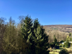 Ausblick Vom Balkon Im Dg - Georgenborn! Sonniges Familiendomizil mit Garten, Einbauküche, Kamin und zwei Stellplätzen