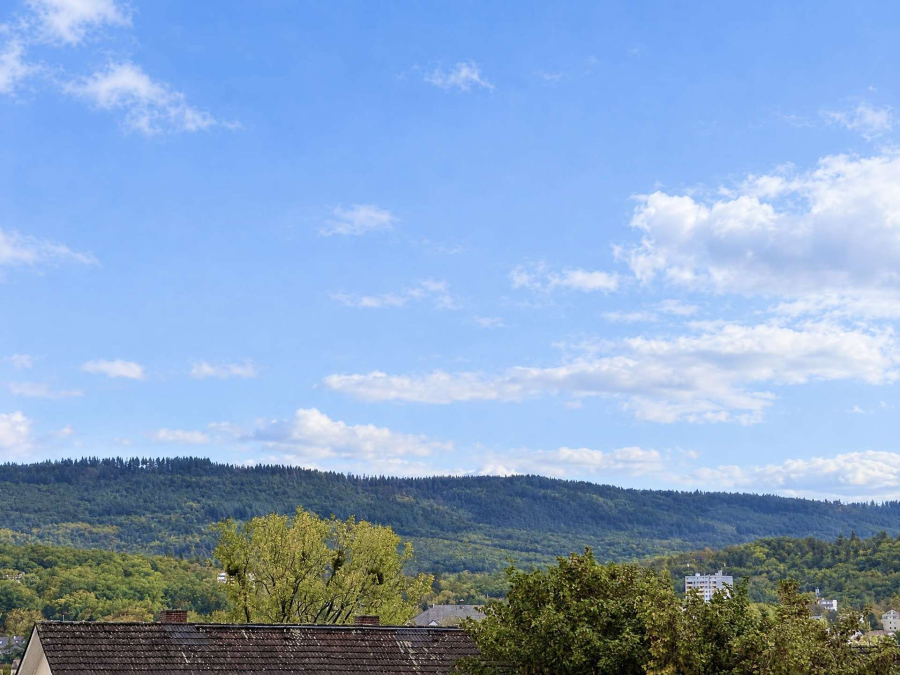 AUSBLICK