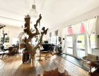 Ein Baum im Entrée / Showroom