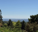 FERNBLICK VOM EINGANGSGESCHOSS